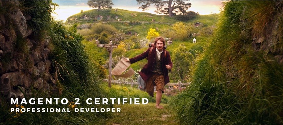 Magento 2 Professional Developer Certification - My Journey