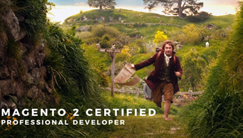 Magento 2 Professional Developer Certification - My Journey